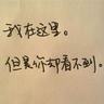 千年古镇“因网而变、因数而兴”